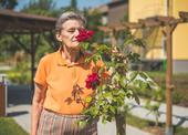 Charitní dům sv. Alžběty - zařízení pro přechodný pobyt seniorů a denní centrum