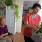 Charitní středisko Matky Terezy - pečovatelská služba Hrabyně Charitní středisko Matky Terezy - pečovatelská služba Hrabyně